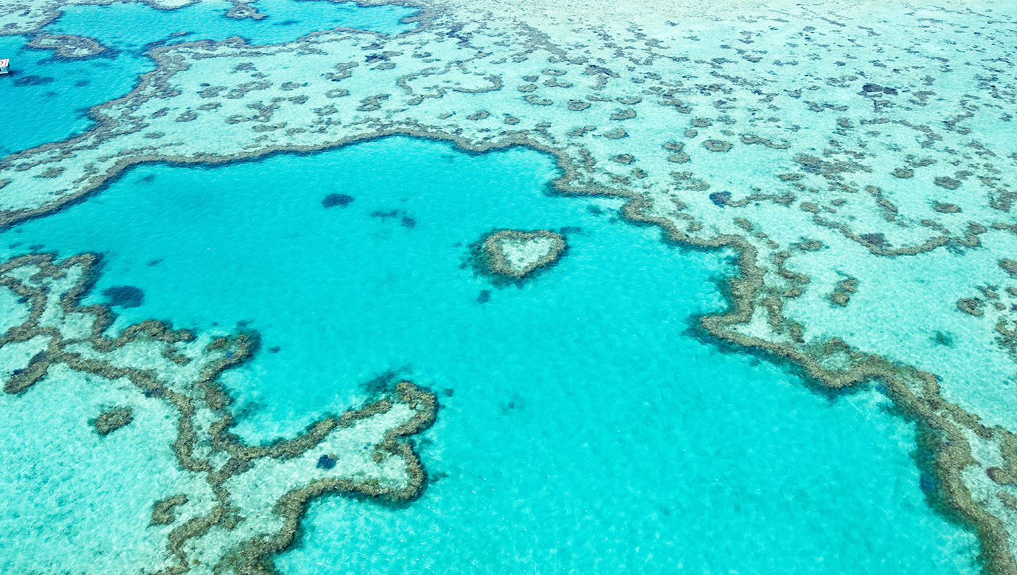Aerial view of a heart-shaped coral reef in clear turquoise waters, surrounded by sandy patches. The image conveys tranquility and natural beauty.

